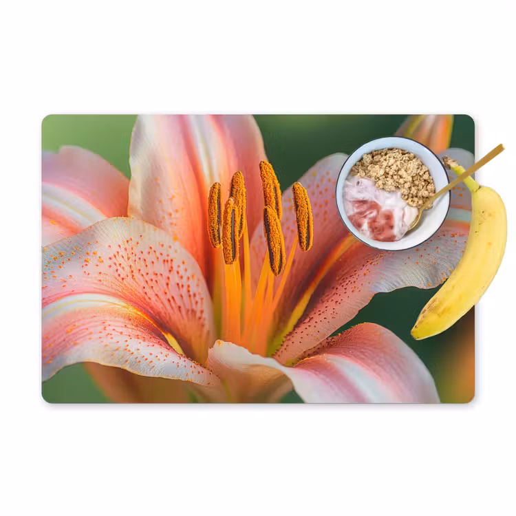Lelie - Close up - Lichtroze Placemat vinyl groot -zzzproduct_Kitchenyeah-website