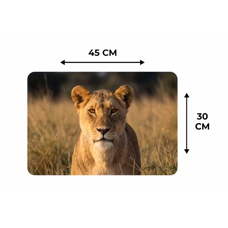Leeuwin - Gras - Geel Placemat vinyl groot -specs