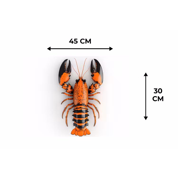 Kreeft - Zwart - Oranje - Wit - Uniek Placemat vinyl groot -specs