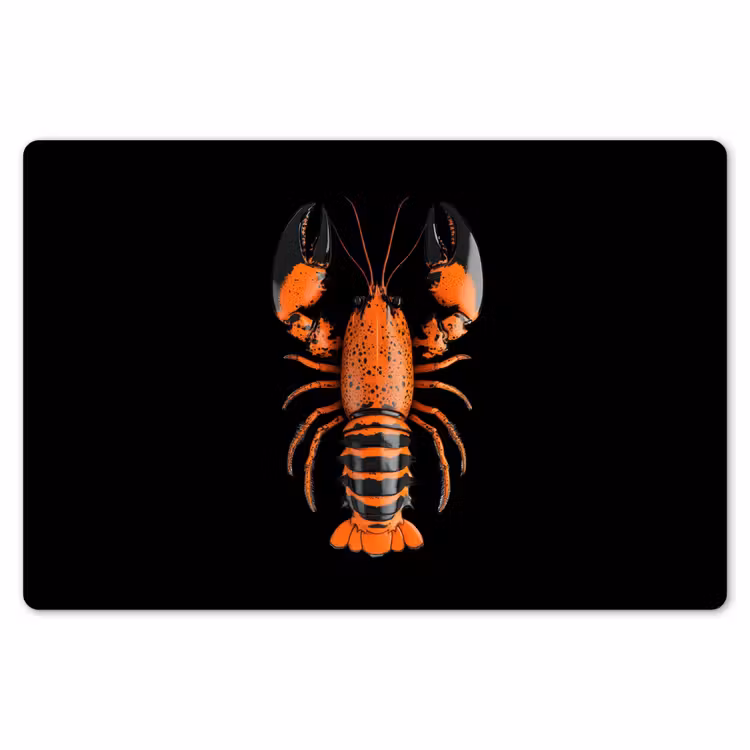 Kreeft - Oranje - Zwart - Modern Placemat vinyl groot -zzsfeer1_Kitchenyeah-website