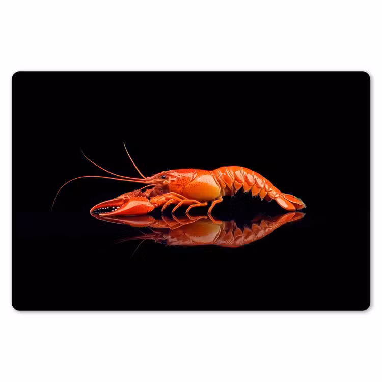 Kreeft - Oranje - Zwart - Opvallend Placemat vinyl groot -zzsfeer1_Kitchenyeah-website