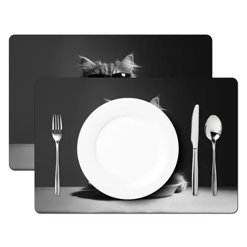 Langharige kat - Zonnebril - Spaghetti - Humor - Zwart - wit Placemat vinyl groot -zzsfeer2_Kitchenyeah-website