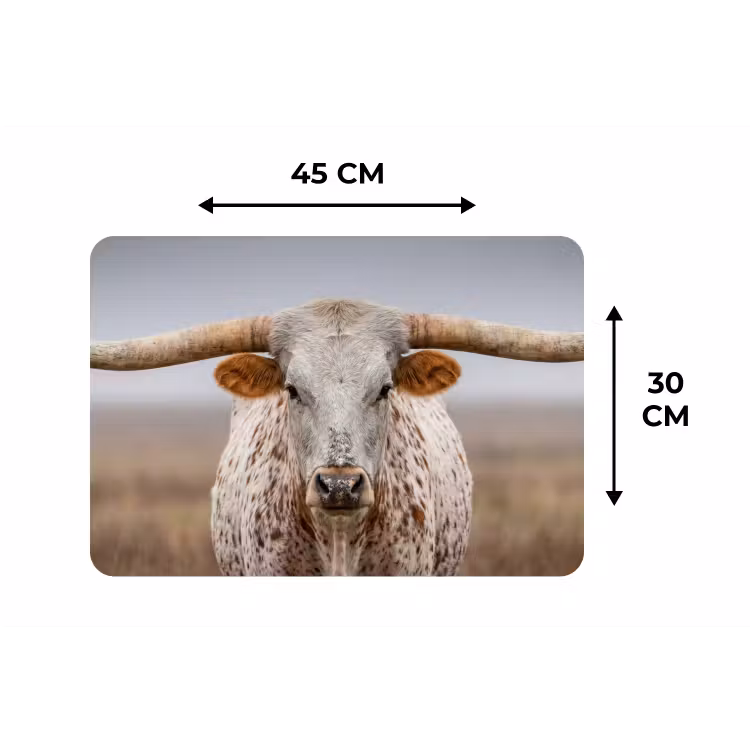 Longhorn - Grasveld - Dier Placemat vinyl groot -specs