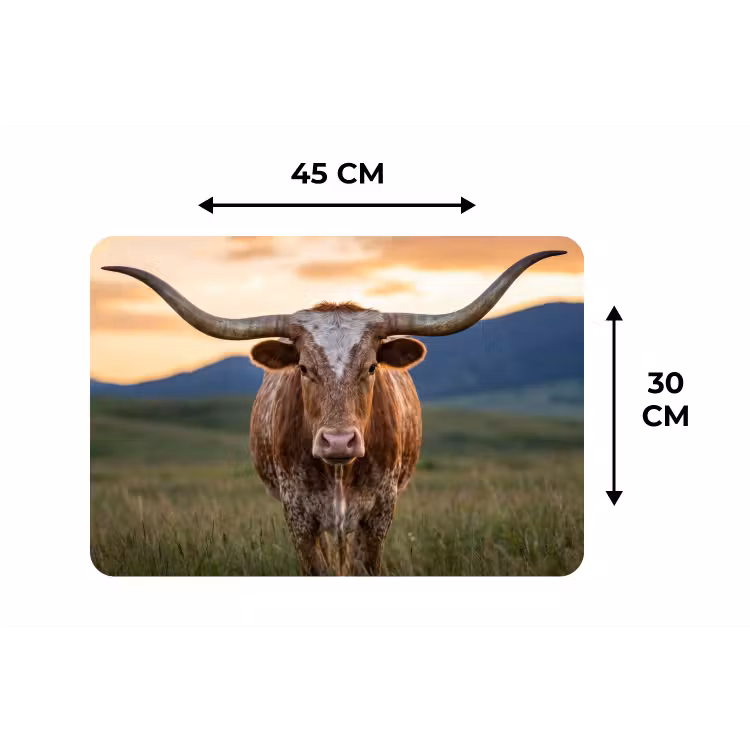 Longhorn - Landschap - Zonsondergang Placemat vinyl groot -specs