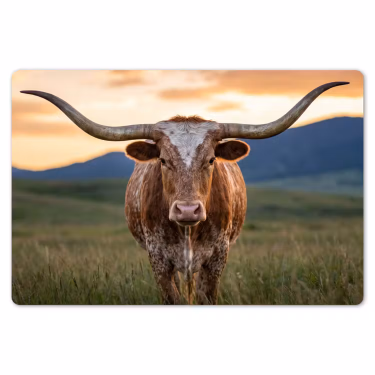 Longhorn - Landschap - Zonsondergang Placemat vinyl groot -zzsfeer1_Kitchenyeah-website