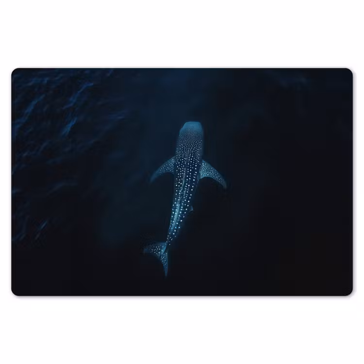 Oceaan - Walvishaai - Donkerblauw - Vlekken Placemat vinyl groot -zzsfeer1_Kitchenyeah-website