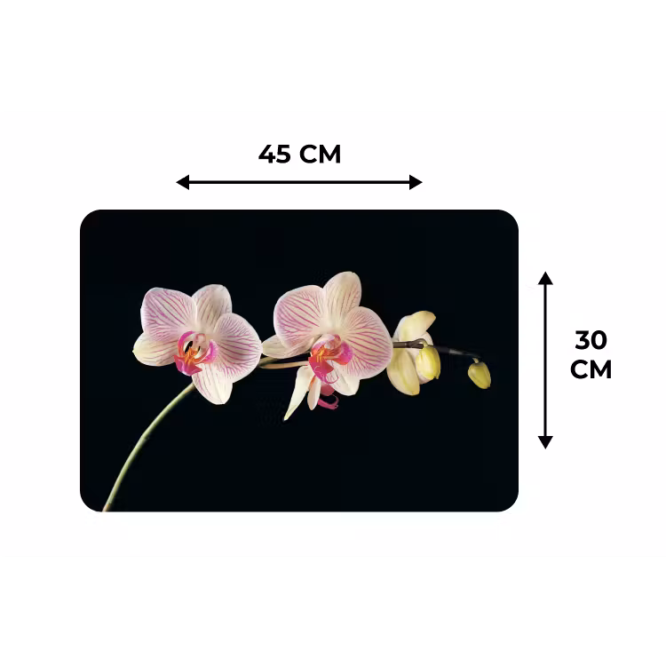 Orchidee - Bloemen - Zwart - Roze - Knoppen Placemat vinyl groot -specs