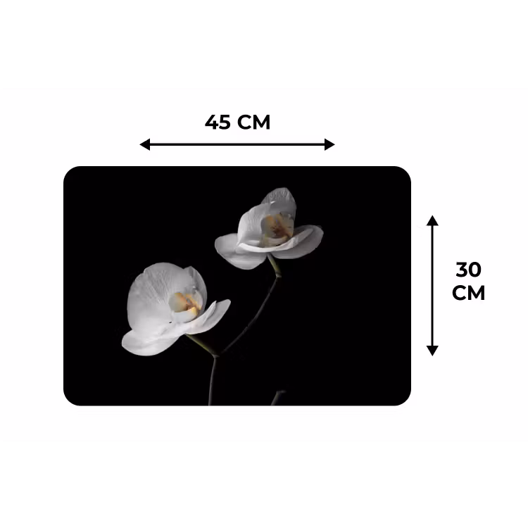 Orchidee - Bloemen - Zwart - Wit - Stilleven Placemat vinyl groot -specs