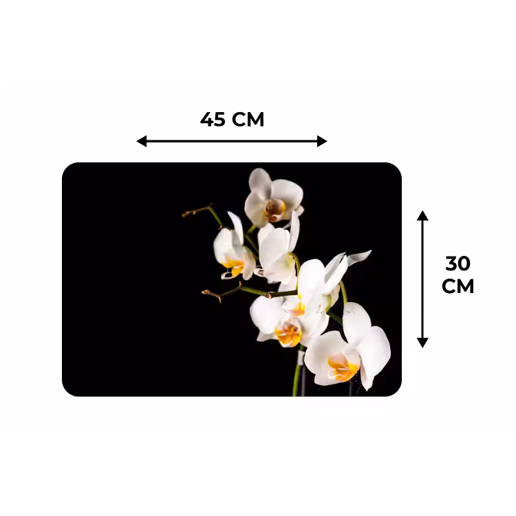 Orchidee - Bloemen - Planten - Botanisch Placemat vinyl groot -specs