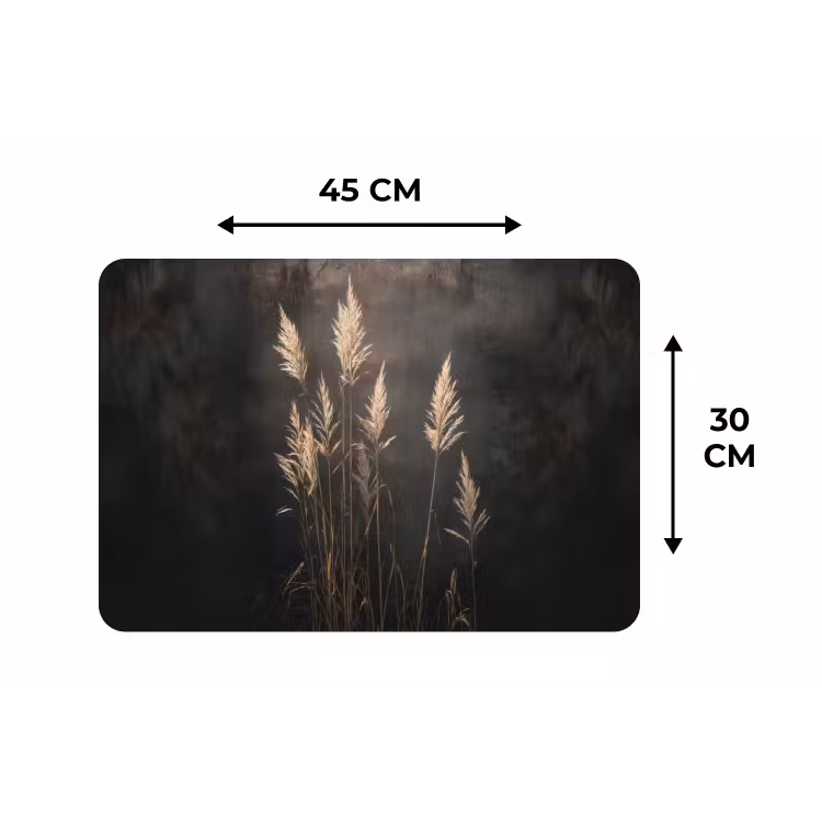 Siergras - Pluimen - Verlichting - Zwart Placemat vinyl groot -specs