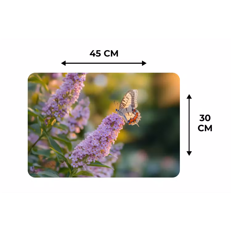 Sierlijke - Vlinder - Paarse - Bloemen Placemat vinyl groot -specs