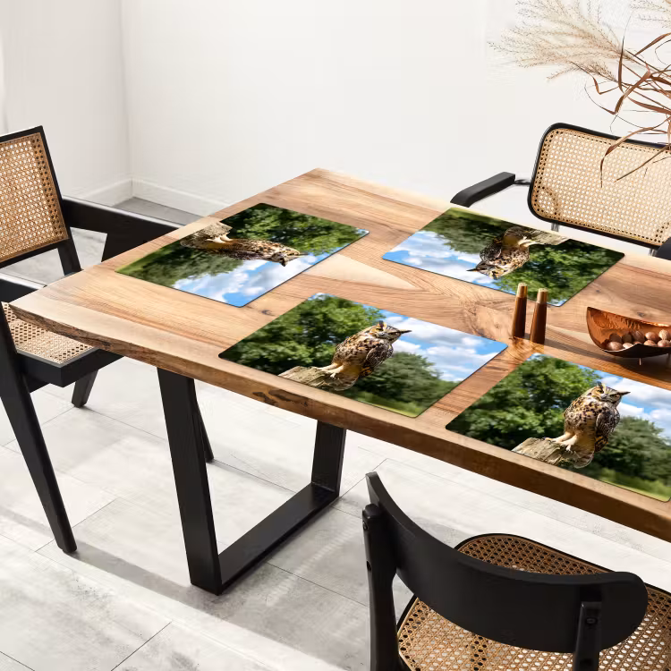 Uil - Boomstronk - Bos - Lucht Placemat vinyl groot -zzsfeer4_Kitchenyeah-website