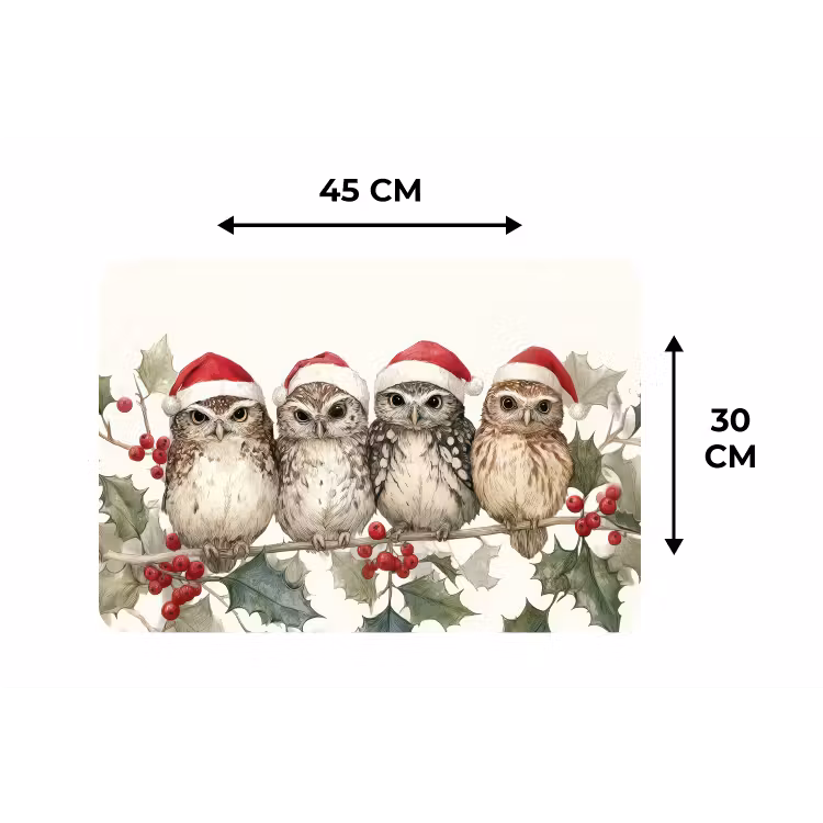 Uilen - Tak - Hulstblaadjes - Kerstmuts Placemat vinyl groot -specs