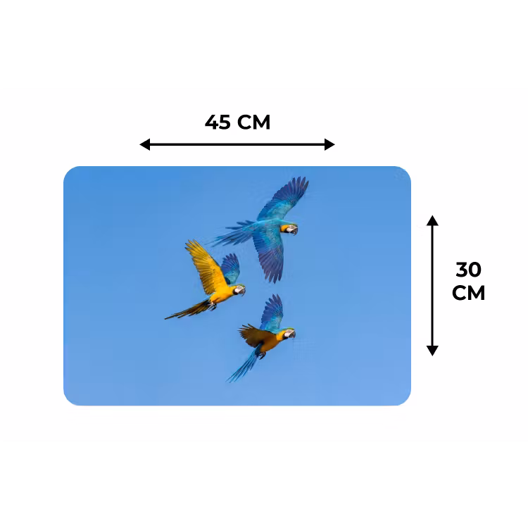 Papagaai - Vliegen - Blauw - Geel Placemat vinyl groot -specs