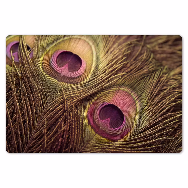 Pauw - Veren - Paars - Groen Placemat vinyl groot -zzsfeer1_Kitchenyeah-website