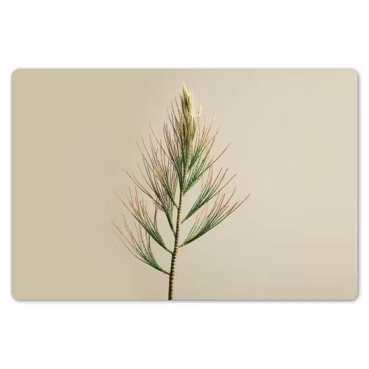 Dennentak - Naaldvormige bladeren - Lichtgroen Placemat vinyl groot -zzsfeer1_Kitchenyeah-website