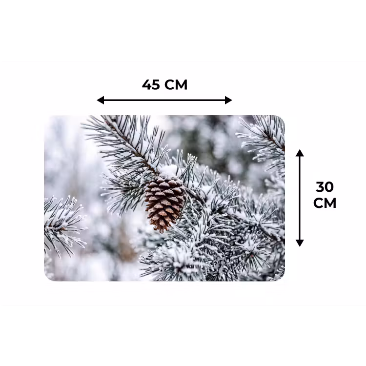 Dennenappel - Tak - Sneeuw - Winter - Sfeervol Placemat vinyl groot -specs