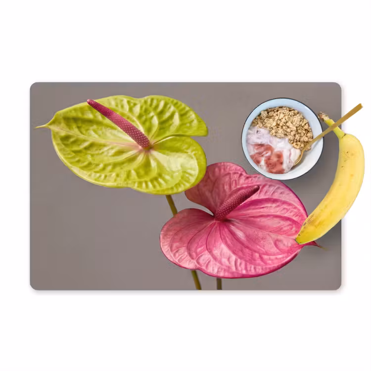 Planten - Anthurium - Groen - Roze Placemat vinyl groot -zzzproduct_Kitchenyeah-website
