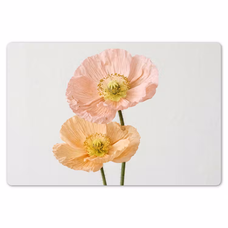 Papavers - Botanisch - Roze Placemat vinyl groot -zzsfeer1_Kitchenyeah-website