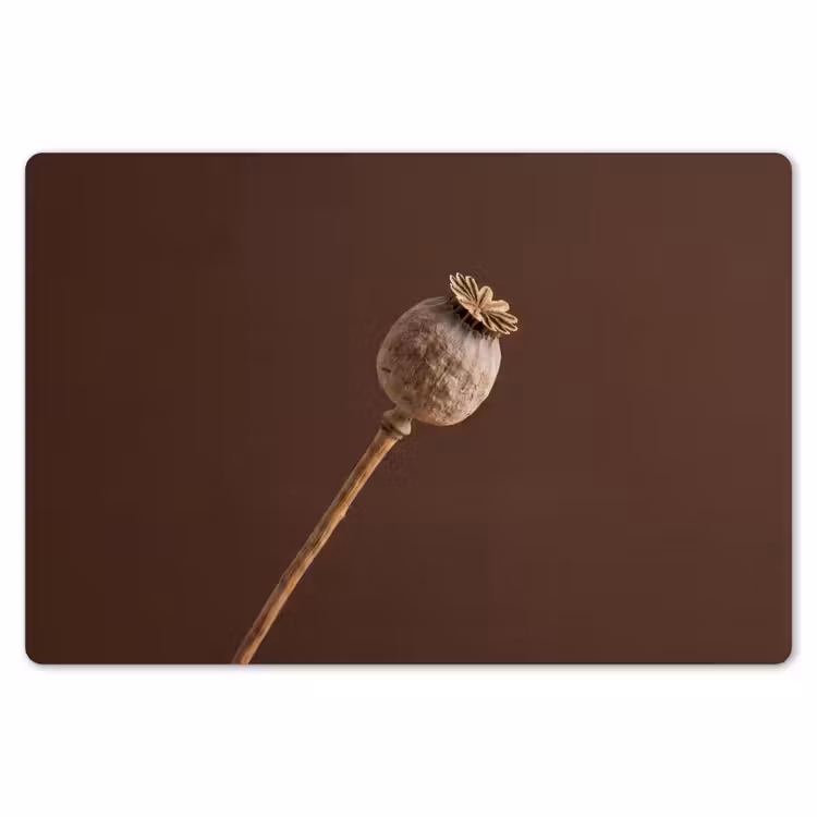 Papaverbol - Droogbloem - Bruin - Minimalistisch Placemat vinyl groot -zzsfeer1_Kitchenyeah-website
