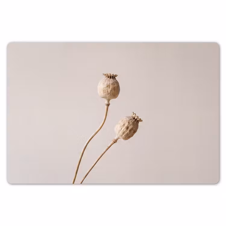 Papaverbollen - Droogbloemen - Minimalistisch - Beige - Rustig Placemat vinyl groot -zzsfeer1_Kitchenyeah-website
