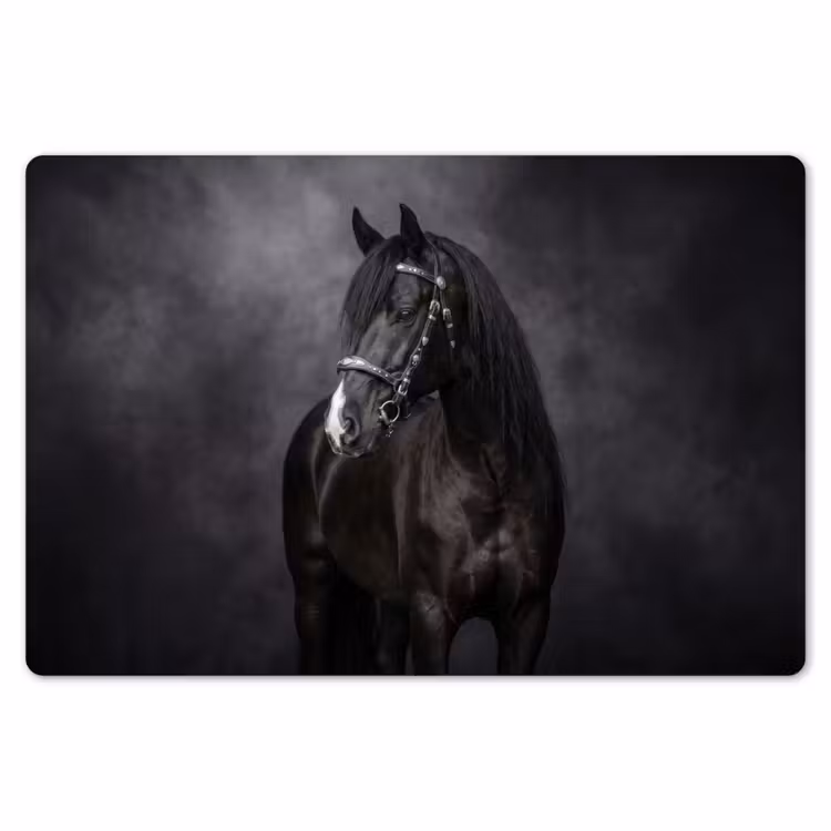 Portret - Paard - Zwart Placemat vinyl groot -zzsfeer1_Kitchenyeah-website