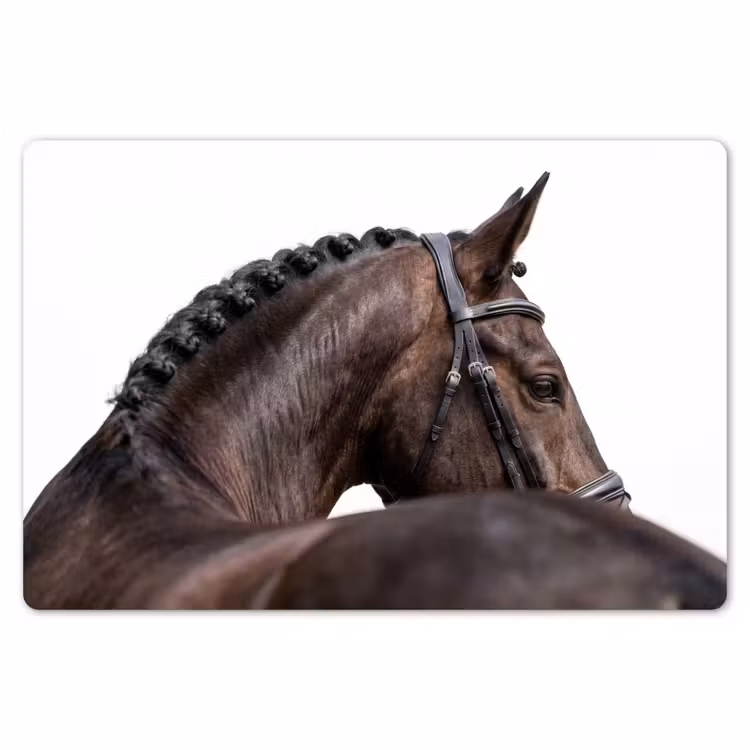 Portret - Paard - Elegant Placemat vinyl groot -zzsfeer1_Kitchenyeah-website