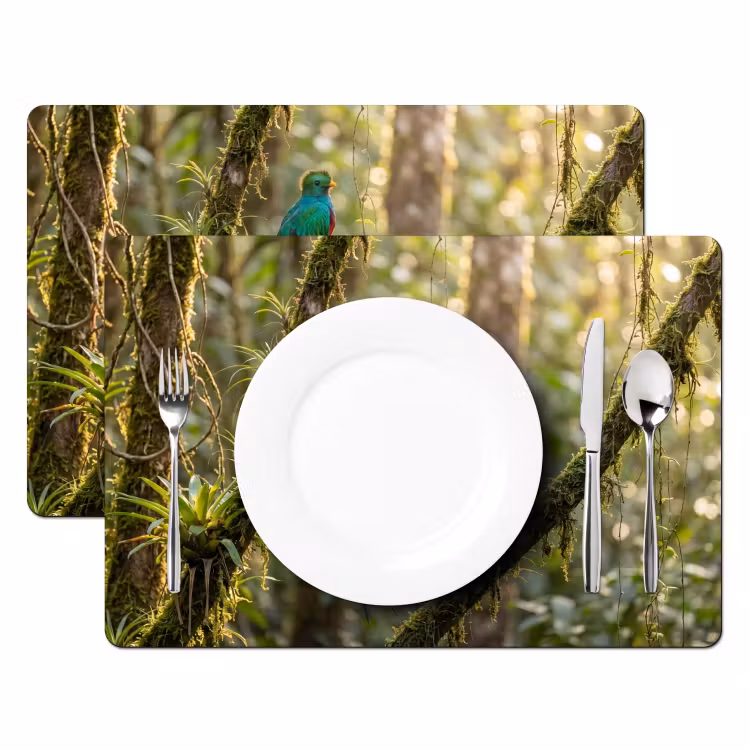 Quetzal - Jungle - Natuur - Groen Placemat vinyl groot -zzsfeer2_Kitchenyeah-website