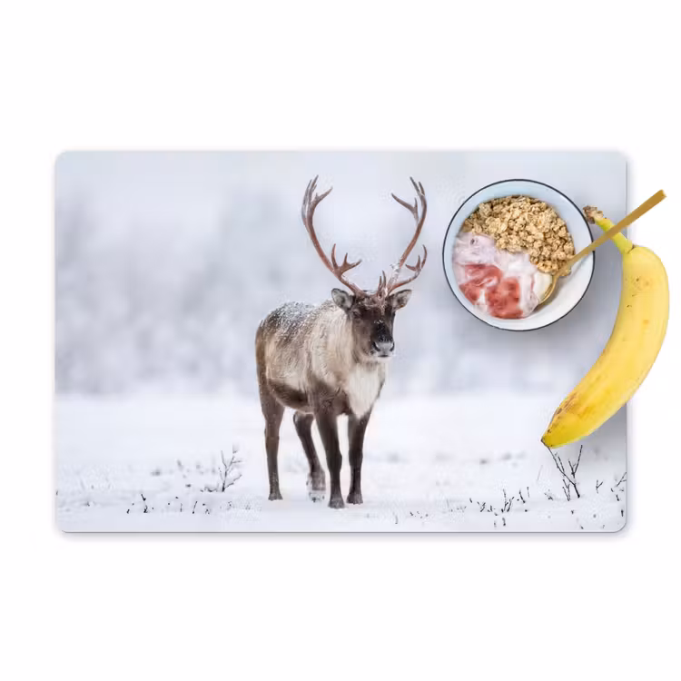 Rendier - Gewei - Toendra - Sneeuw - Wild Placemat vinyl groot -zzzproduct_Kitchenyeah-website