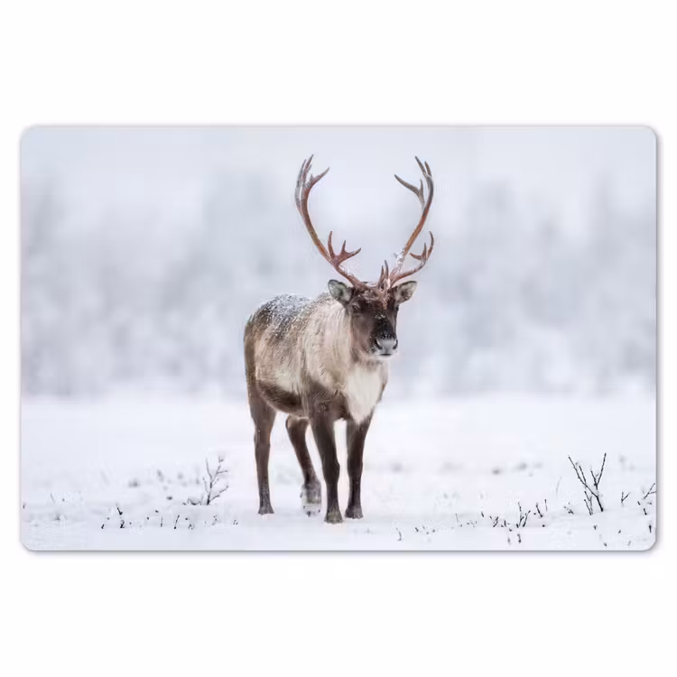 Rendier - Gewei - Toendra - Sneeuw - Wild Placemat vinyl groot -zzsfeer1_Kitchenyeah-website