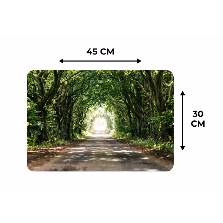 Weg - Bomen - Natuur - Groen Placemat vinyl groot -specs