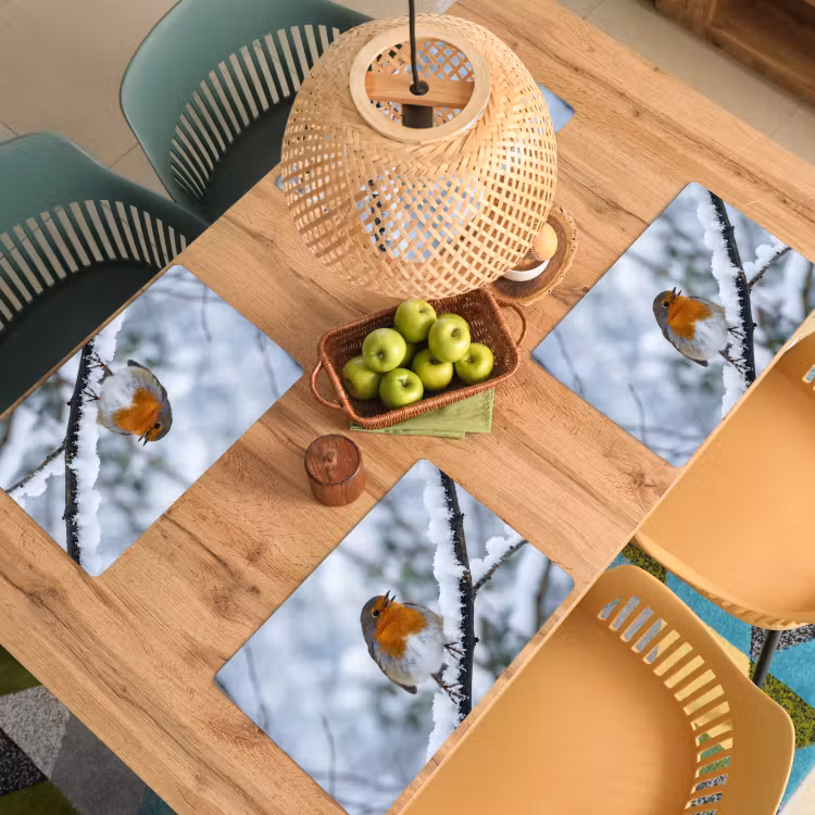 Roodborstje - Tak - Sneeuw - Winter - Levendig Placemat vinyl groot -zzsfeer5_Kitchenyeah-website