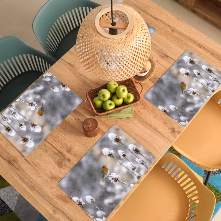 Roodborstje - Gedroogde bloem - Sneeuw - Winter - Vertederend Placemat vinyl groot -zzsfeer5_Kitchenyeah-website