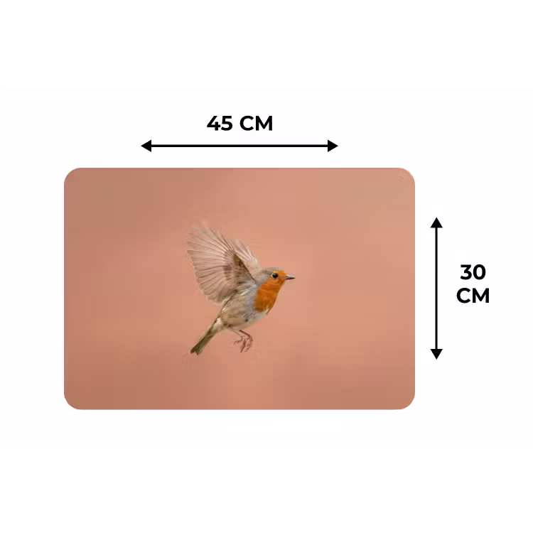 Roodborst - Natuur - Roze Placemat vinyl groot -specs