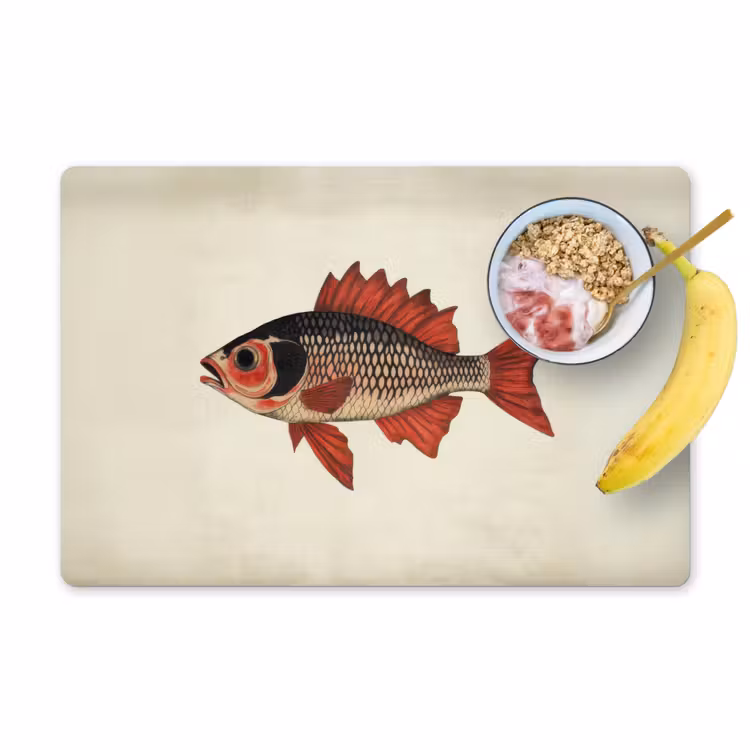 Schubben - Rood - Vis - Vinnen Placemat vinyl groot -zzzproduct_Kitchenyeah-website