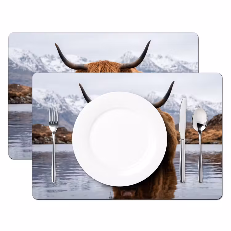 Schotse hooglander - Bruin - Water Placemat vinyl groot -zzsfeer2_Kitchenyeah-website