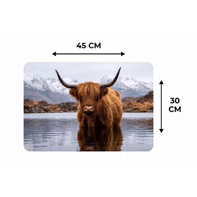 Schotse hooglander - Bruin - Water Placemat vinyl groot -specs