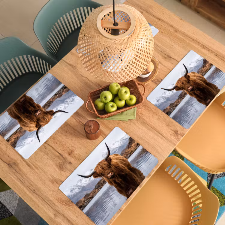 Schotse hooglander - Bruin - Water Placemat vinyl groot -zzsfeer5_Kitchenyeah-website