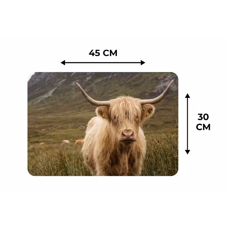 Schotse hooglander - Bergen - Grasveld Placemat vinyl groot -specs