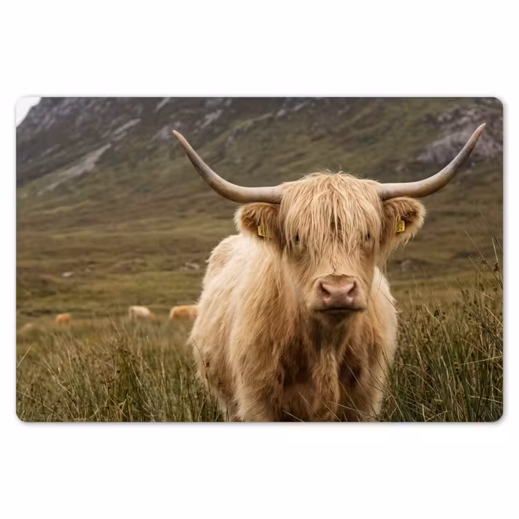Schotse hooglander - Bergen - Grasveld Placemat vinyl groot -zzsfeer1_Kitchenyeah-website