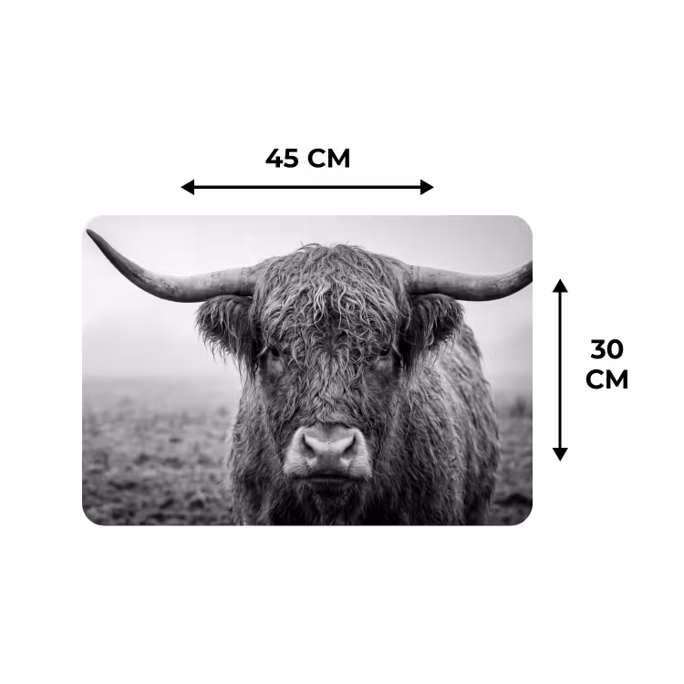 Schotse hooglander - Zwart - Wit - Gras Placemat vinyl groot -specs
