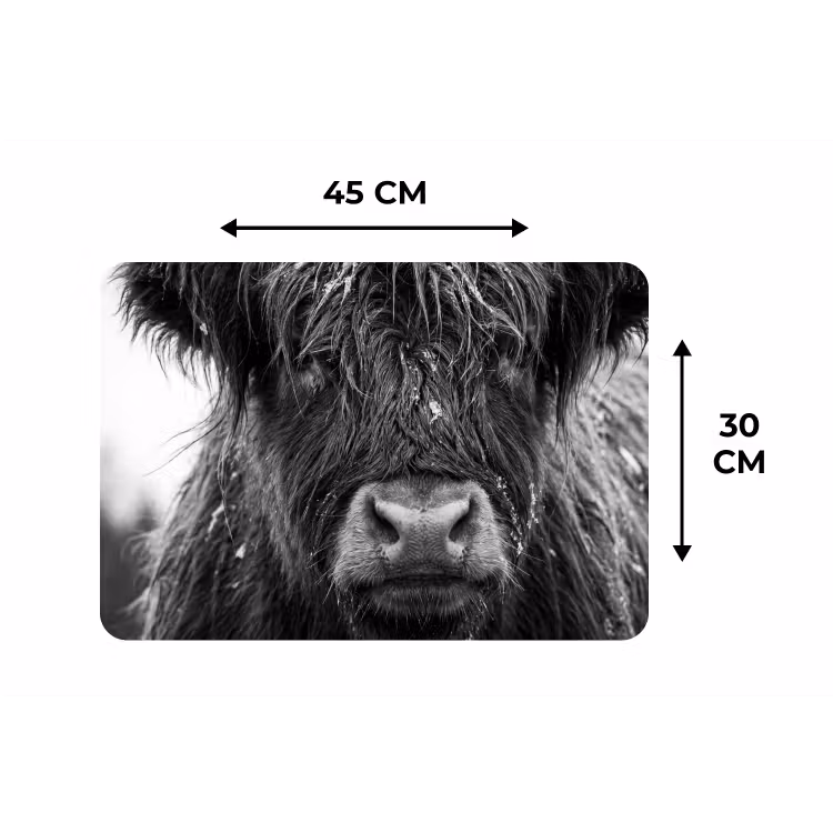 Schotse hooglander - Zwart - Wit - Sneeuwvlokken Placemat vinyl groot -specs