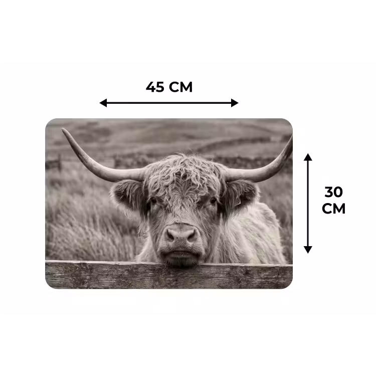 Schotse hooglander - Zwart - Wit - Hout Placemat vinyl groot -specs