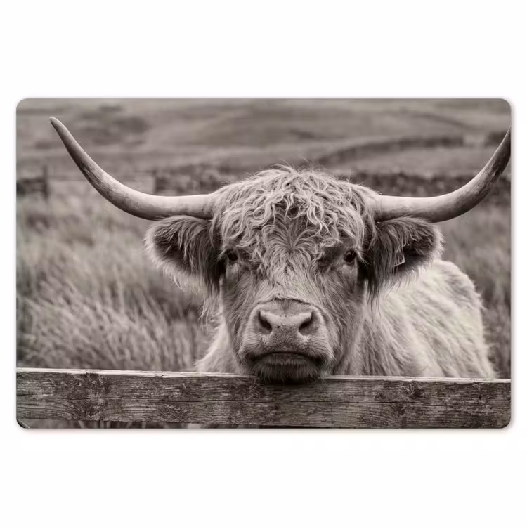 Schotse hooglander - Zwart - Wit - Hout Placemat vinyl groot -zzsfeer1_Kitchenyeah-website