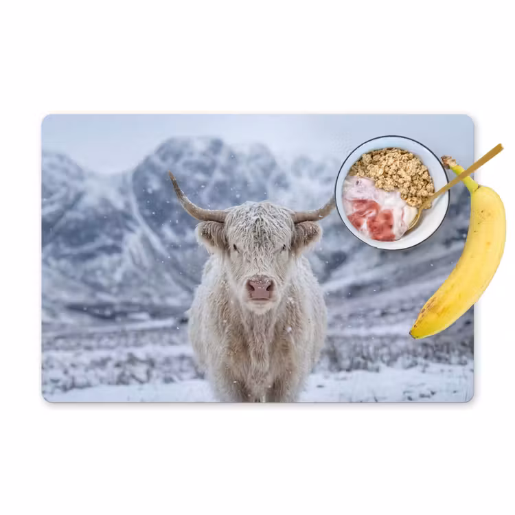Schotse Hooglander - Sneeuw - Bergen - Winter Placemat vinyl groot -zzzproduct_Kitchenyeah-website