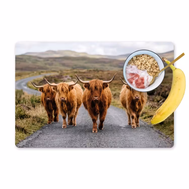 Schotse Hooglanders - Weg - Landschap - Kudde Placemat vinyl groot -zzzproduct_Kitchenyeah-website