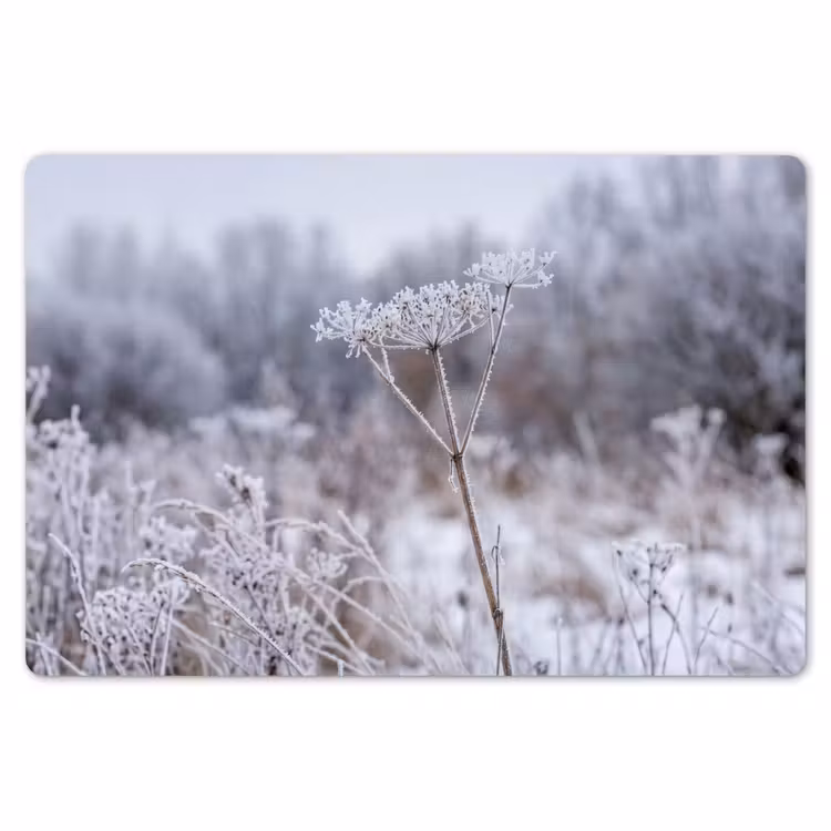 Schermbloem - Rijp - Kristallen - Winter - Delicaat Placemat vinyl groot -zzsfeer1_Kitchenyeah-website