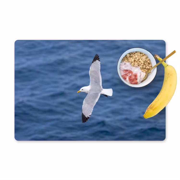 Zeemeeuw - Oceaan - Blauw Placemat vinyl groot -zzzproduct_Kitchenyeah-website