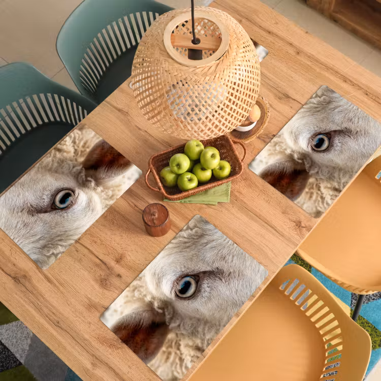 Schaap - Oog - Wit Placemat vinyl groot -zzsfeer5_Kitchenyeah-website