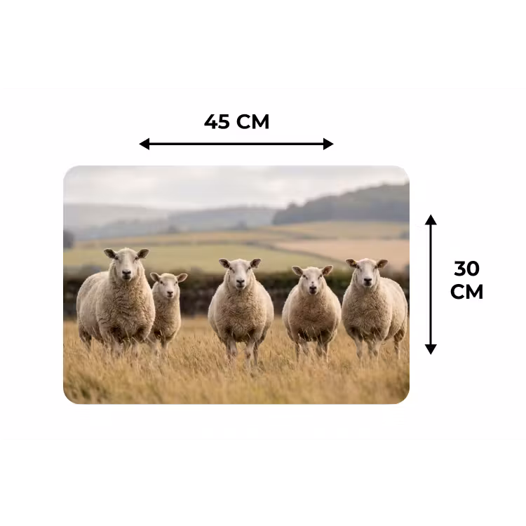 Schapen - Weidenlandschap - Heuvels Placemat vinyl groot -specs